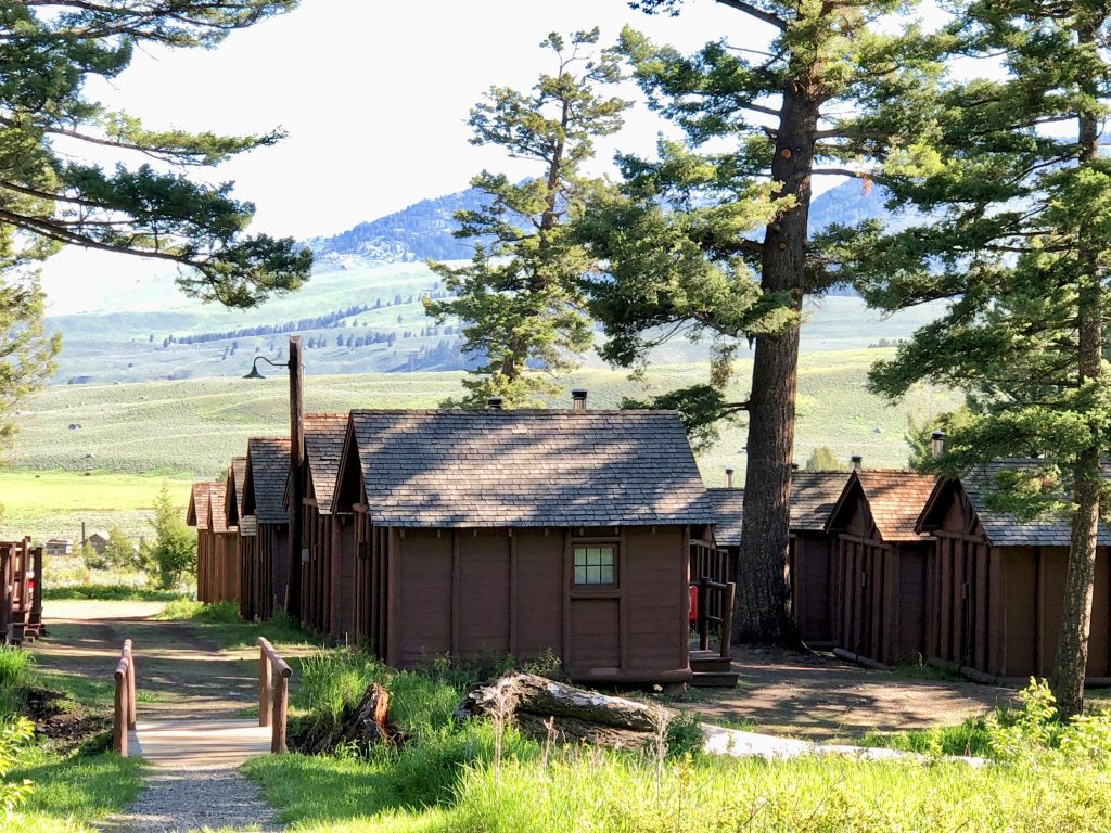 Roosevelt Lodge Cabins Yellowstone