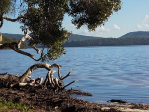 Wallis Lake NSW